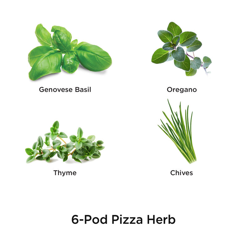 Pizza Herb Seed Pod Kit image number null